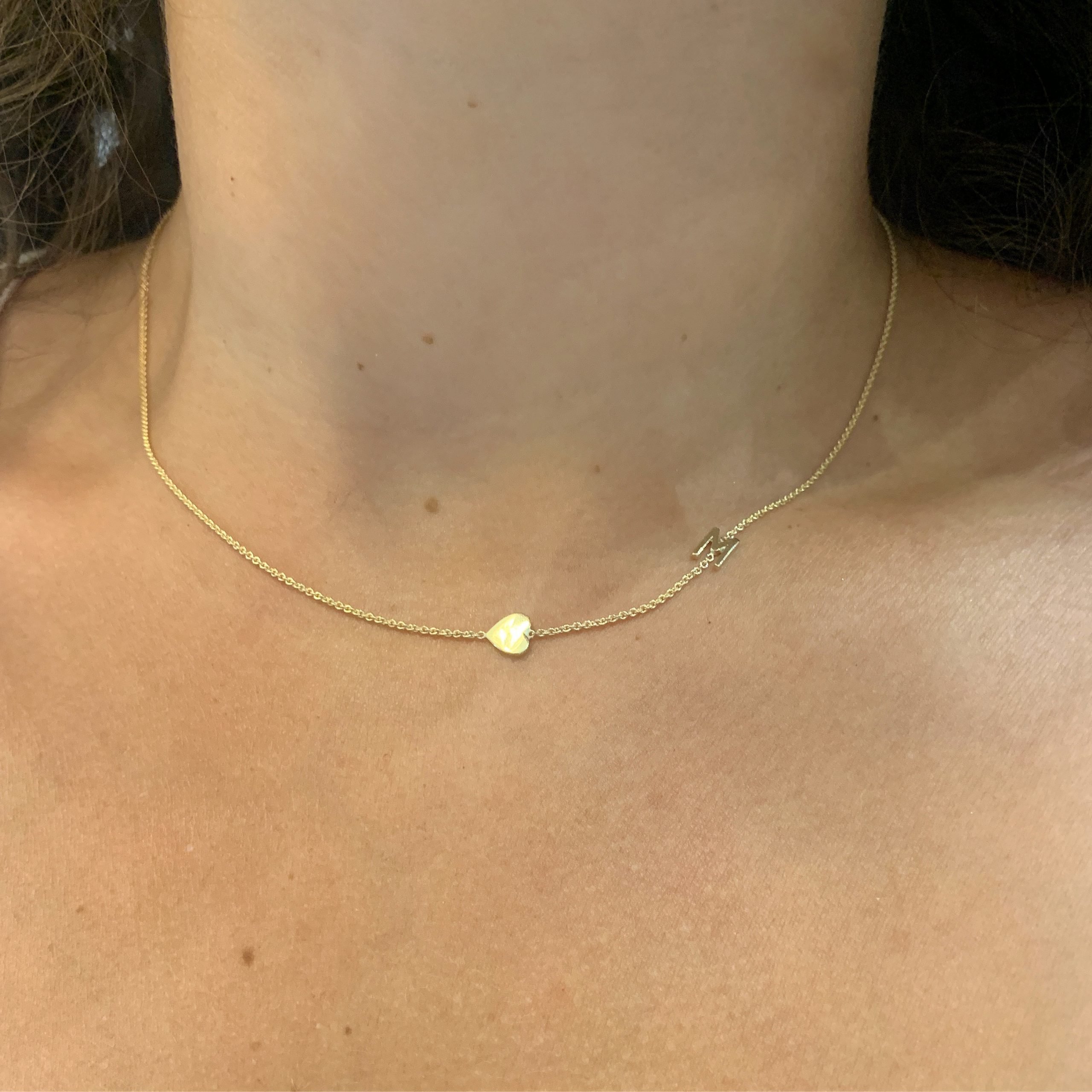 Heart intial picture